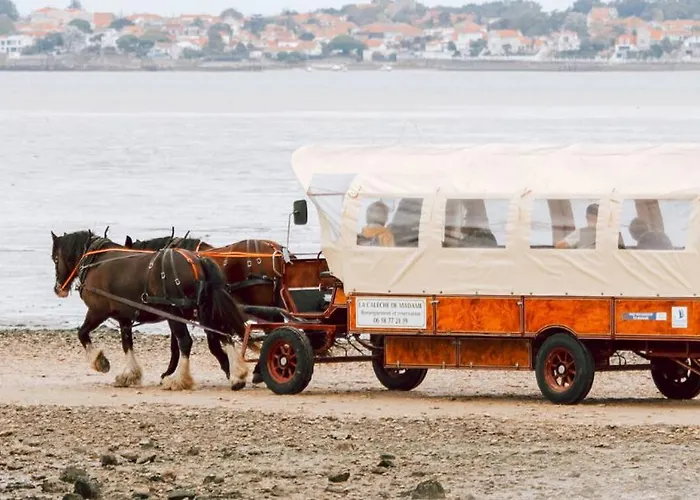 Hébergement de vacances La Tulipe Maison à Deux Pas De La Port-des-Barques